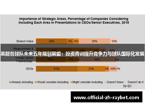 英超各球队未来五年规划展望：投资青训提升竞争力与球队国际化发展