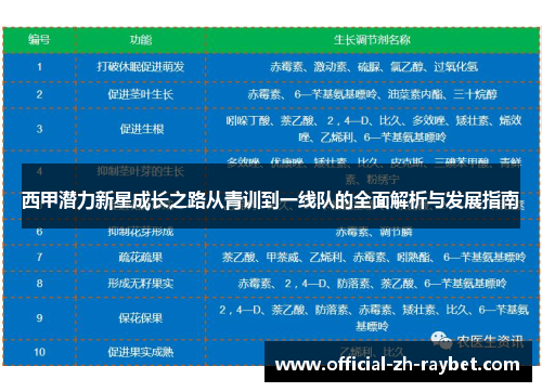 西甲潜力新星成长之路从青训到一线队的全面解析与发展指南