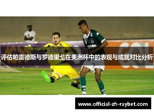 评估帕雷德斯与罗德里戈在美洲杯中的表现与成就对比分析
