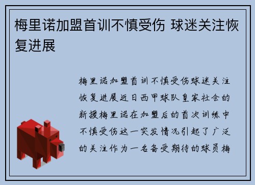 梅里诺加盟首训不慎受伤 球迷关注恢复进展 梅里诺加盟首训不慎受伤 球迷关注恢复进展